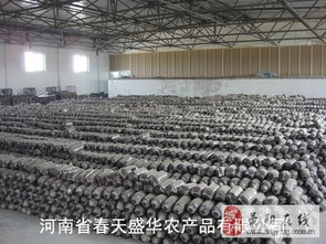 食用菌產業的全面服務 菌棒、菌袋、菌種及進出口解決方案